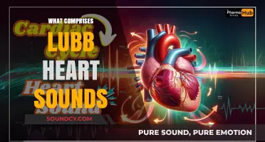 Understanding Lubb Heart Sounds: Components, Causes, and Clinical Significance