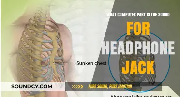 Exploring the Core: Which Computer Component Powers Your Headphone Jack?
