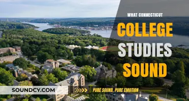 Exploring Connecticut College's Unique Academic Focus on Sound Studies