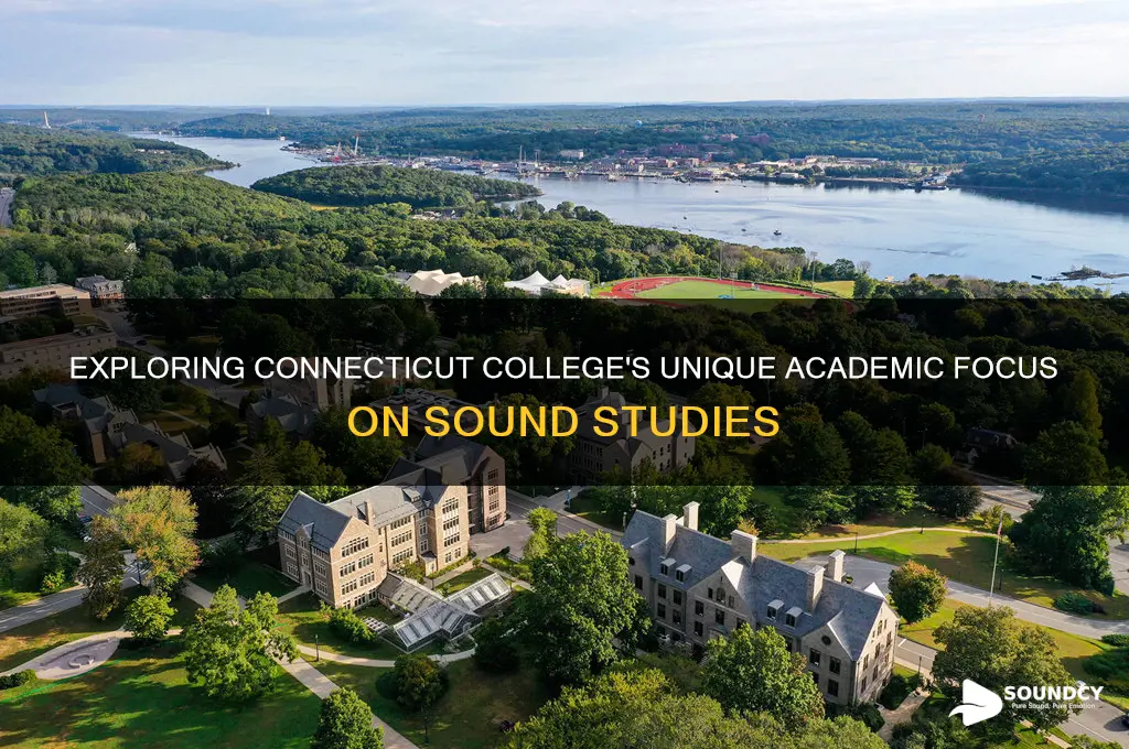 what connecticut college studies sound
