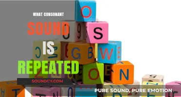 Identifying the Repeated Consonant Sound: A Phonetic Exploration and Analysis