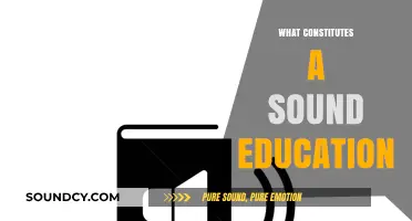 Defining a Sound Education: Core Elements for Lifelong Learning Success