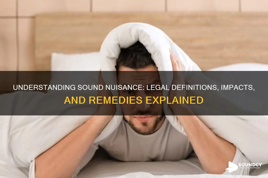 what constitutes a sound nuisance