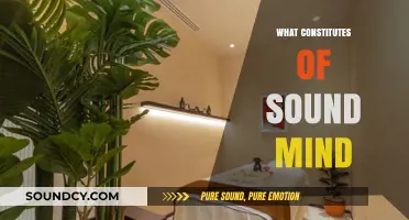 Understanding Sound Mind: Key Elements of Mental Capacity and Clarity