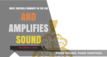 The Amazing Role of the Middle Ear in Hearing and Humidity Regulation