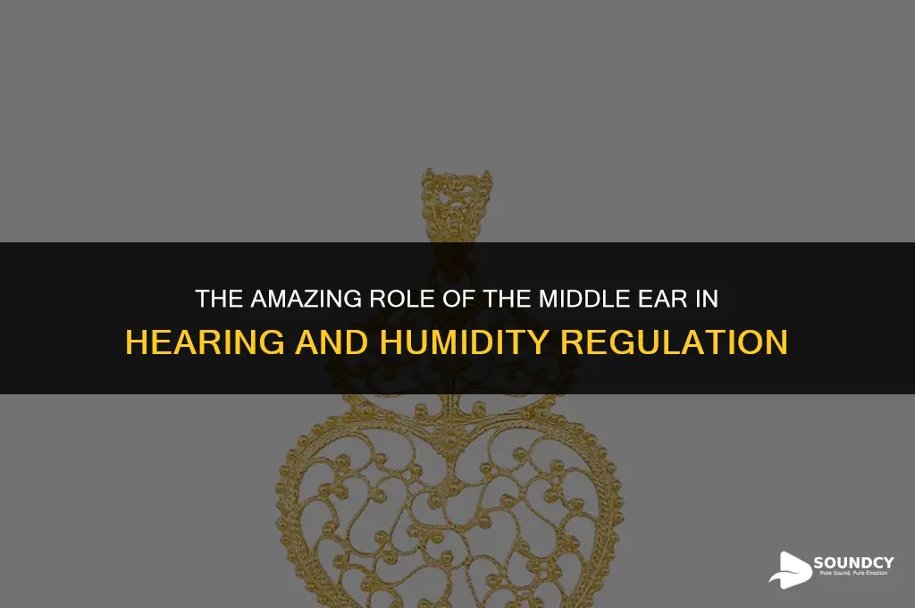 what controls humidity in the ear and amplifies sound