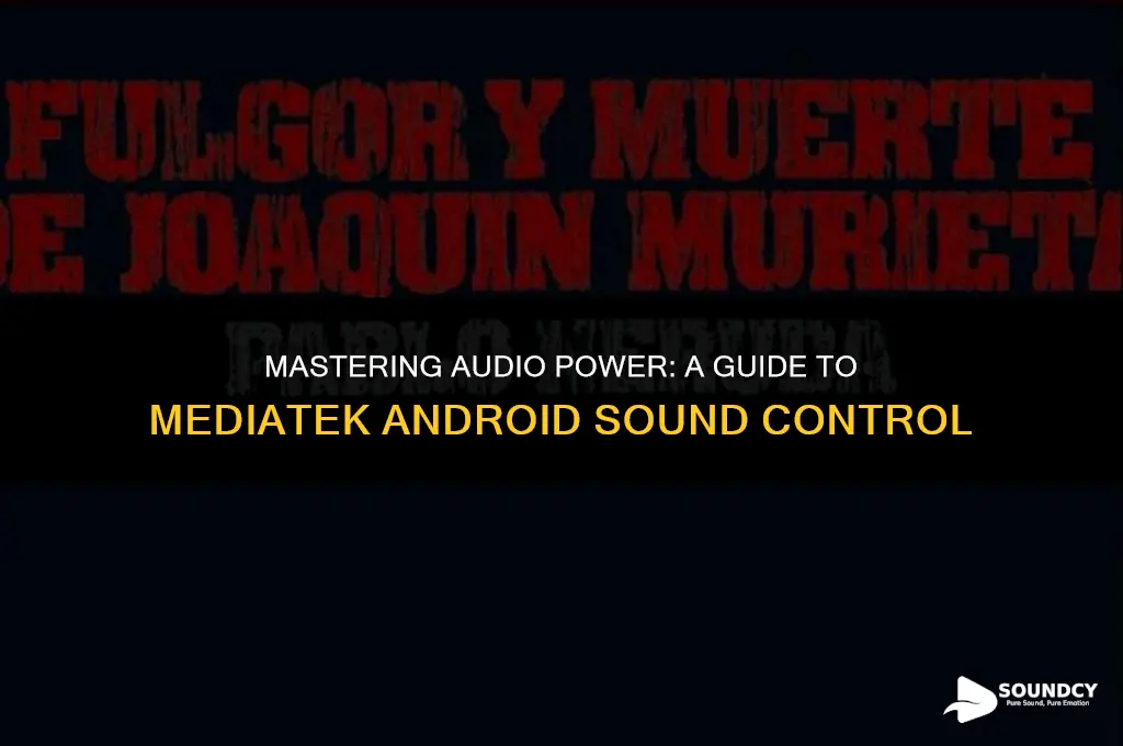 what controls the power on sound for mediatek android