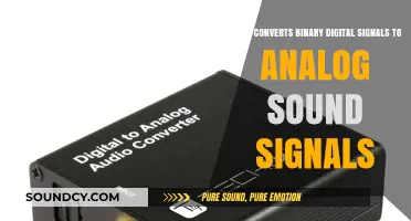 Decoding Digital Harmony: The Journey from Binary to Analog Sound