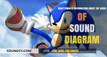 Exploring the Sonic Spectrum: A Visual Guide to Sound Sense