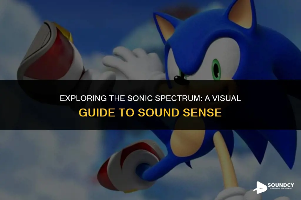 what conveys information about the sense of sound diagram
