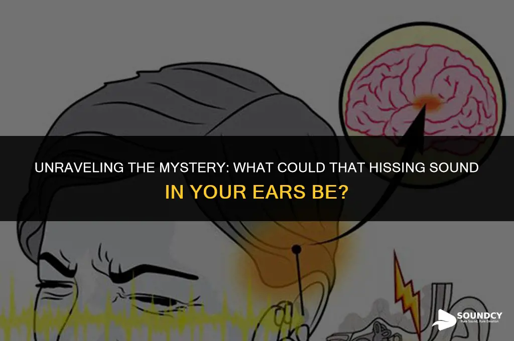 what could be a hissing sound in your ears