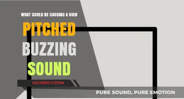 Decoding the Source of That Pesky High-Pitched Buzzing Sound