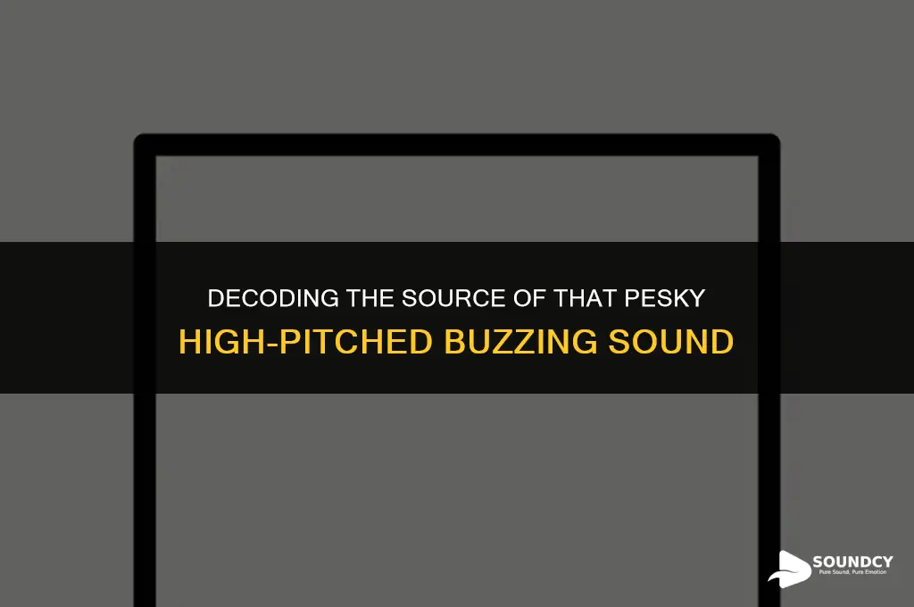 what could be causing a high pitched buzzing sound