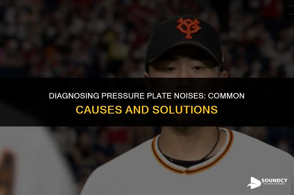 what could cause a bad pressure plate sound like