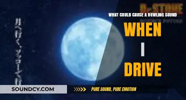 Unraveling the Mystery: What Causes Howling Sounds While Driving?