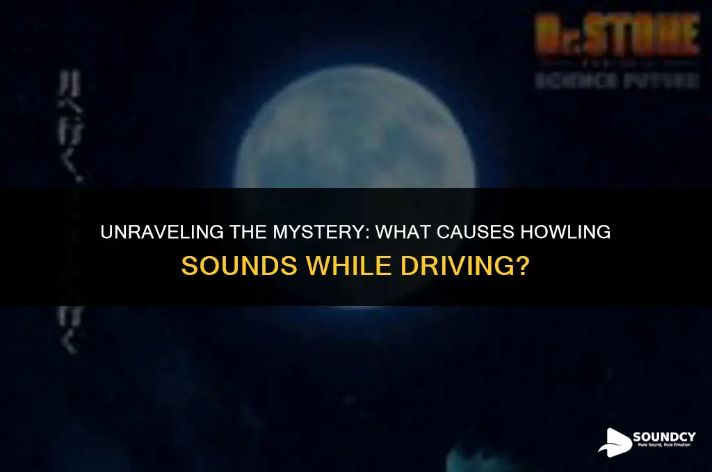 what could cause a howling sound when i drive