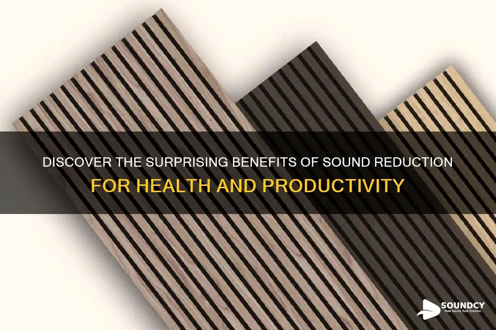 what could sound reducing benefit