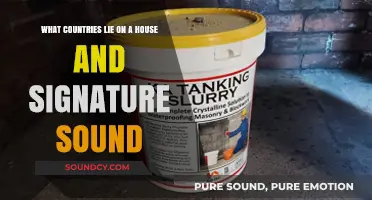 Exploring the Global Footprint of Iconic House and Signature Sounds