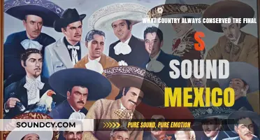 Preserving the 'S' Sound: A Linguistic Journey Through Mexico