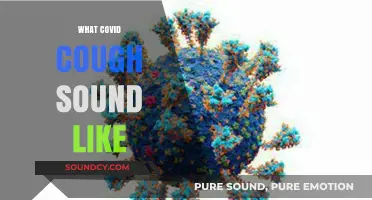 Identifying COVID-19 Cough: What Does It Sound Like?