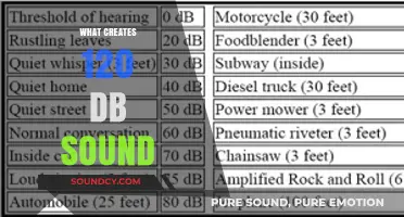Unveiling the Sources Behind Ear-Splitting 120 dB Sound Levels