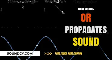 Understanding Sound: Origins, Propagation, and the Science Behind Waves