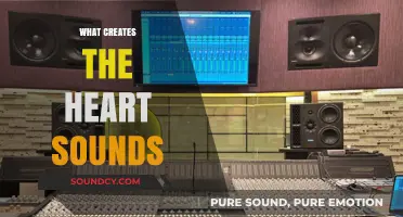 Understanding the Origins of Heart Sounds: A Comprehensive Guide