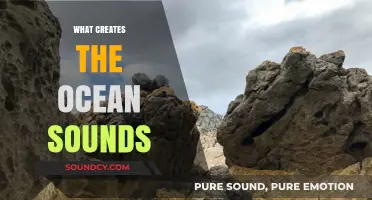 Unveiling the Science Behind the Soothing Sounds of the Ocean