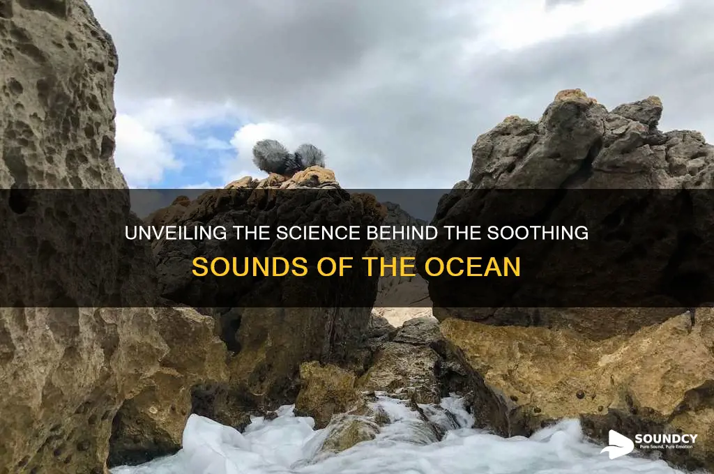 what creates the ocean sounds