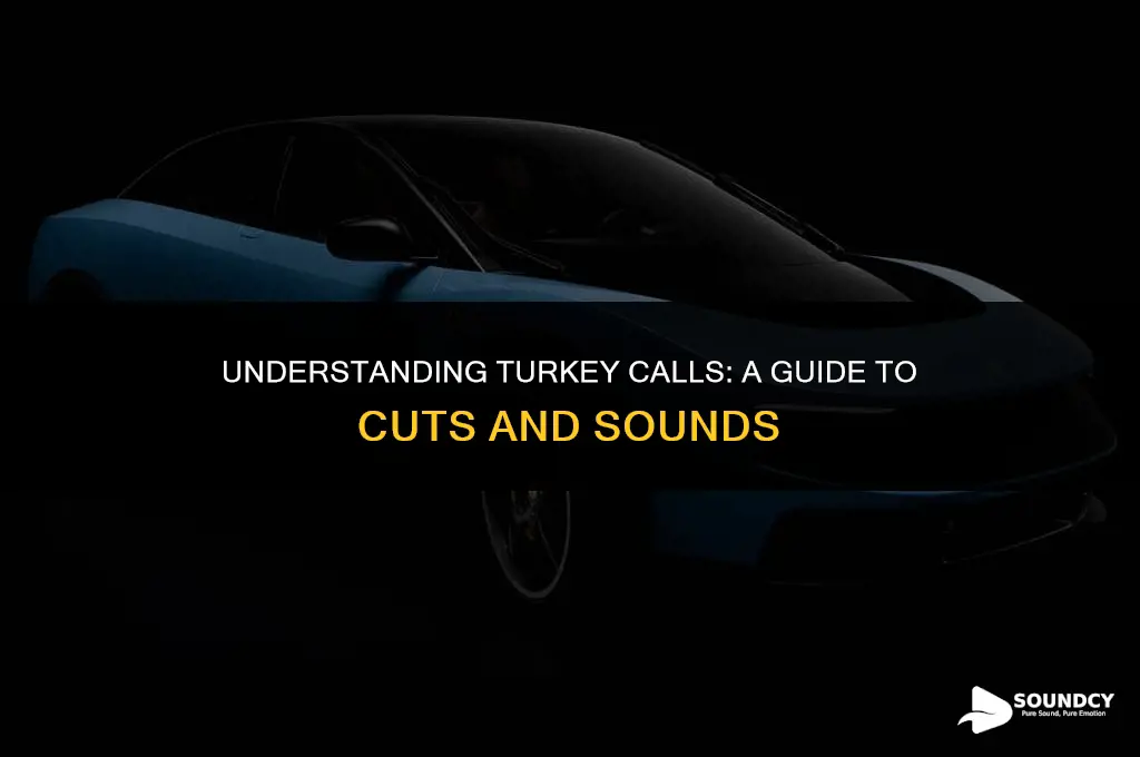 what cut in turkey mouth calls makes which sound
