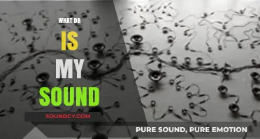 Identify Your Sound's Database: A Guide to Decoding Audio Sources