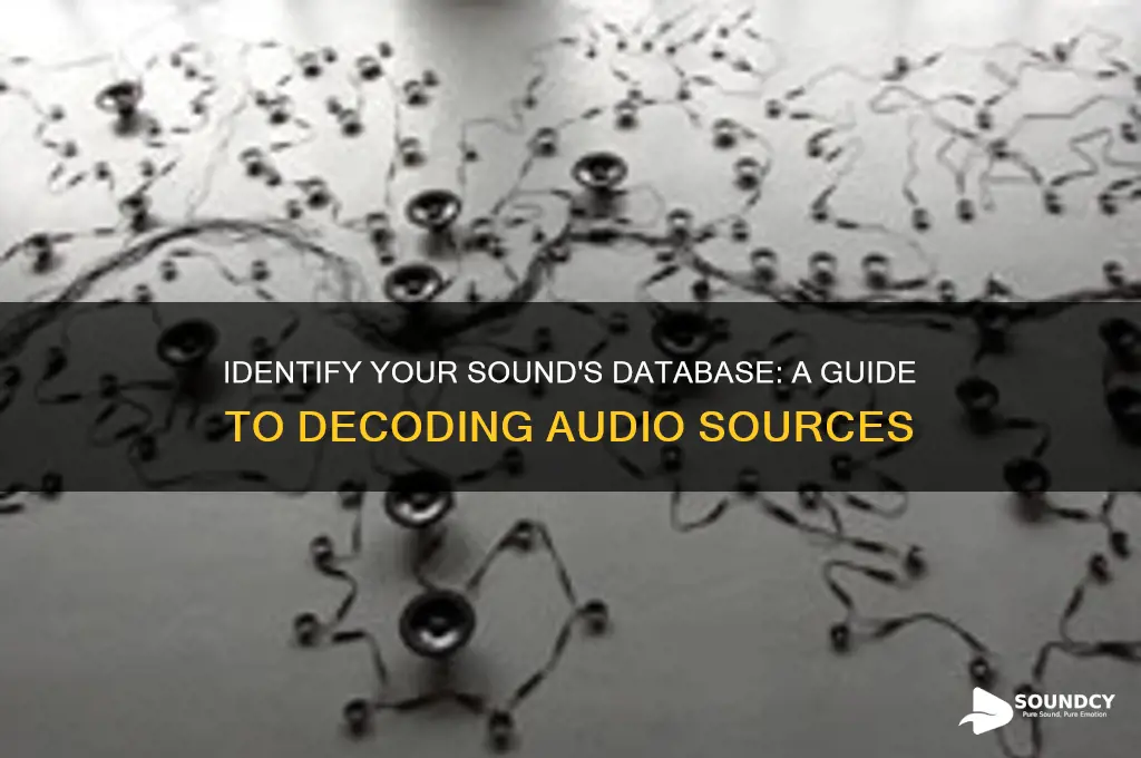 what db is my sound