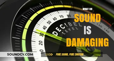 Understanding Dangerous Decibel Levels: When Sound Becomes Harmful to Hearing