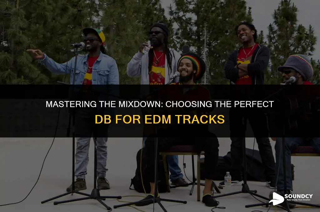 what db to mix sounds to in edm mixdown