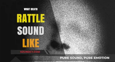 Understanding the Death Rattle: What It Sounds Like and Why It Happens