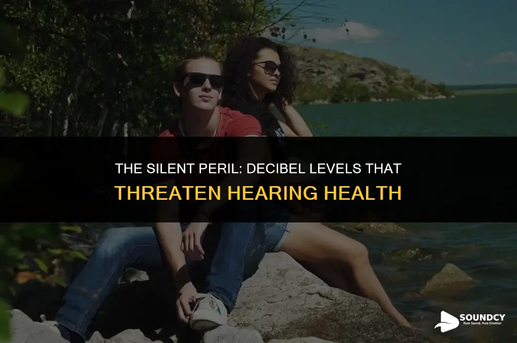 what decamal of sound is dangerous after prolongued exposure