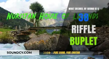 Exploring the Sonic Power: Decibel Level of a .38 Rifle Bullet