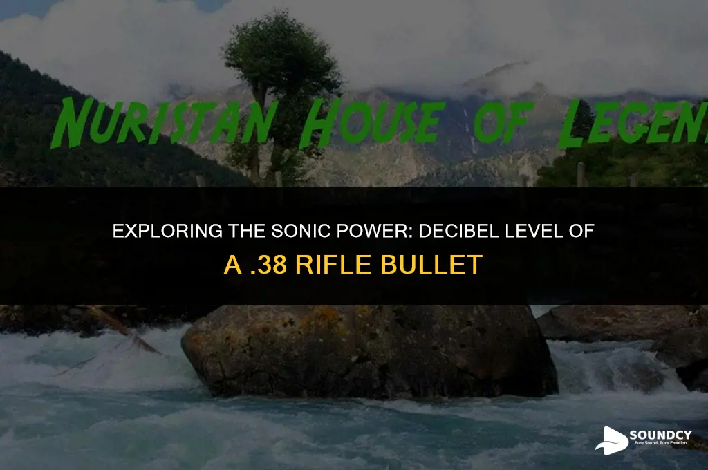 what decibel of sound is a 38 riffle buplet