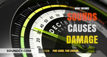 Dangerous Decibels: How Loud Sounds Lead to Hearing Damage