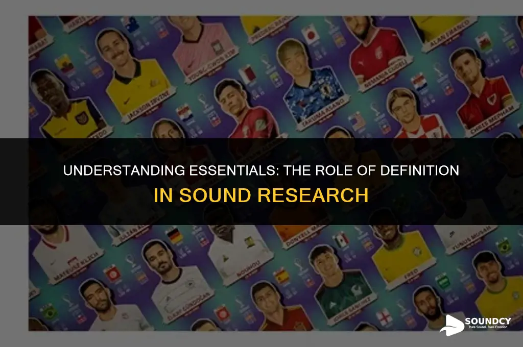 what definition is an essential part of sound research