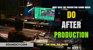 Behind the Scenes: The Post-Production Journey of a Sound Mixer