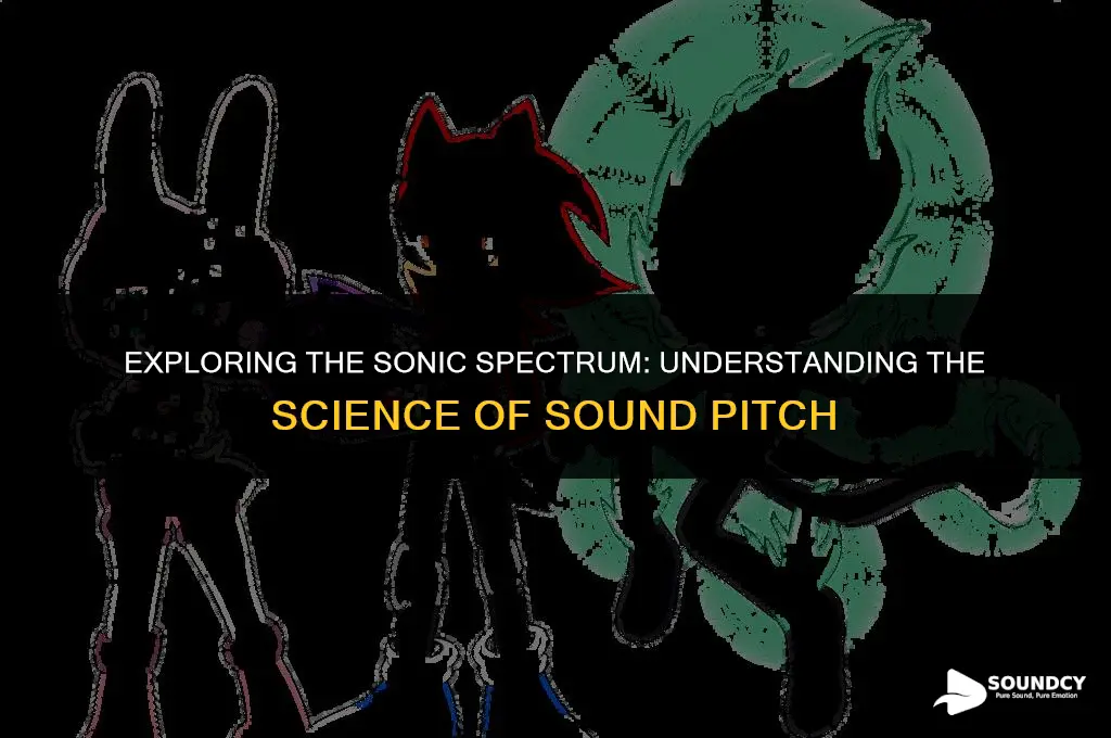 what describes how high or low a sound is