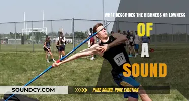 Exploring the Sonic Spectrum: Understanding the Highs and Lows of Sound