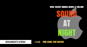 Nocturnal Serenades: The Desert's Thrilling Sound-Makers Unveiled