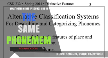 Exploring Phonemes: The Art of Sound Classification