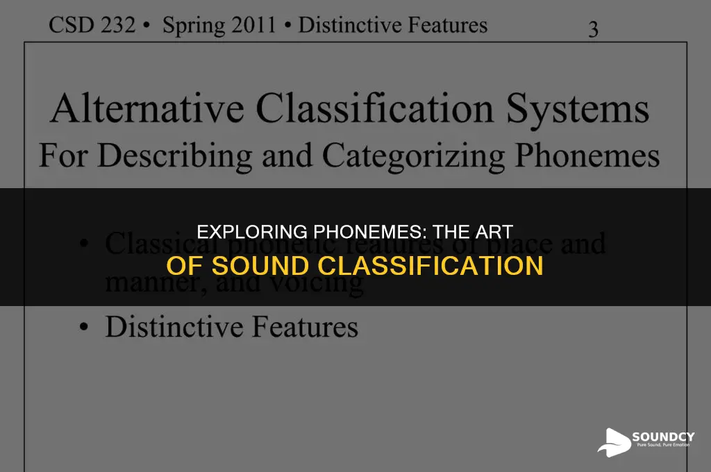 what determines if sounds are in the same phonemem