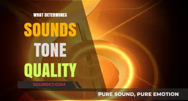 Exploring the Factors That Shape Sound's Tone Quality and Clarity