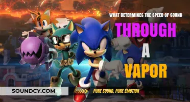 Sonic Velocity Through Vapors: Unraveling the Key Determinants