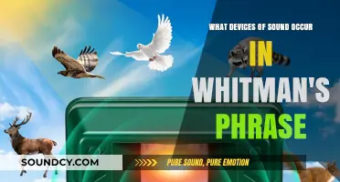 Echoes of Whitman: Unveiling the Sonic Devices in His Timeless Phrases