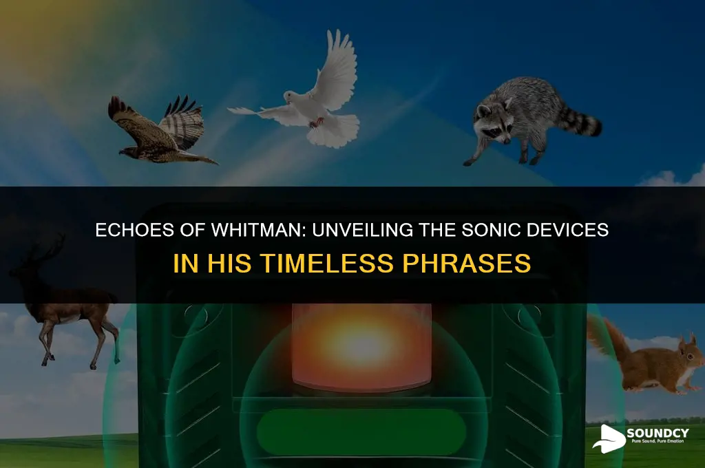 what devices of sound occur in whitman